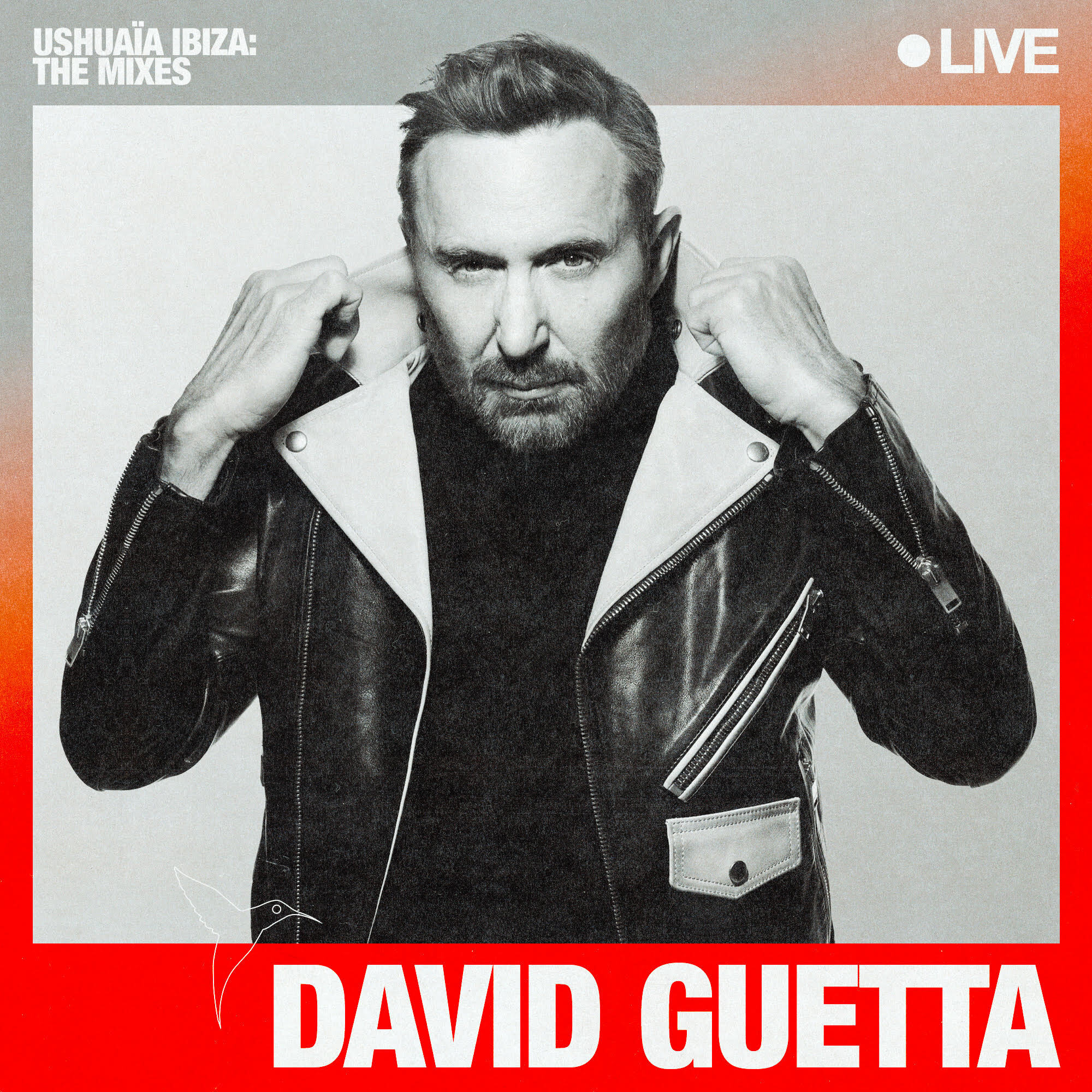David Guetta x Apple Music Dolby Atmos MIX Ushuaïa by
