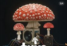 Chinois hosts Ricardo Villalobos, Sonja Moonear & Maher Daniel!