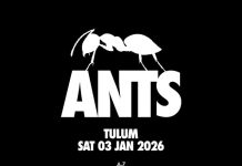 ANTS reveals the artists headlining at  ZAMNA Festival Tulum!