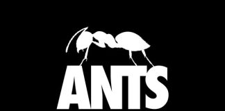 ANTS reveals the artists headlining at  ZAMNA Festival Tulum!